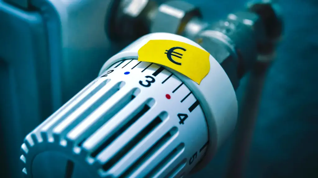 Wie Sie Strom sparen können: LED-Beleuchtung wählen und nicht überheizen. Auch Kochen kann helfen